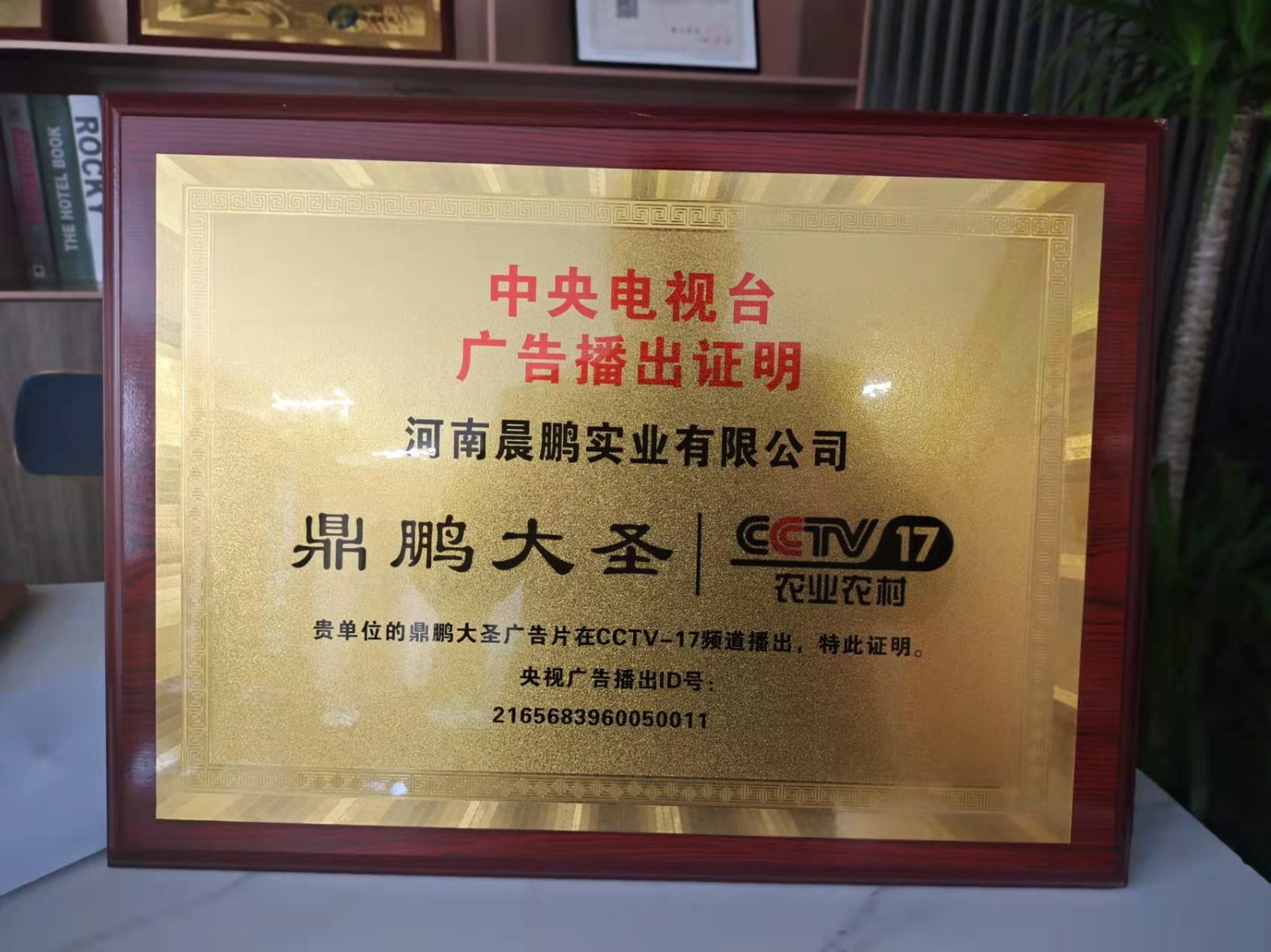 大圣央視播出證明.jpg